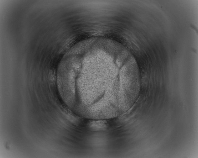 X0000092040179200710101004