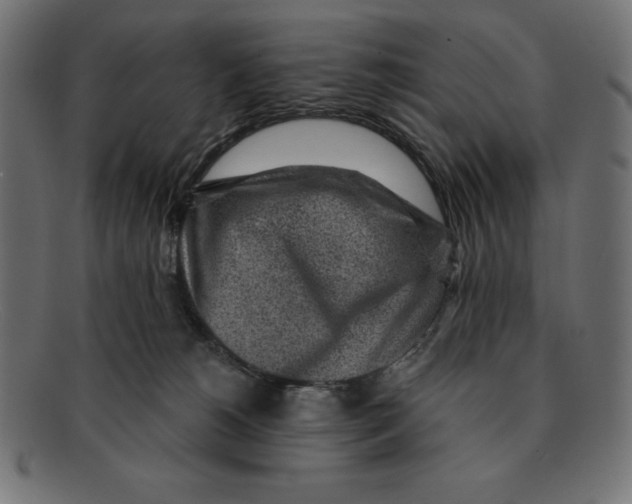 X0000092040180200710101004