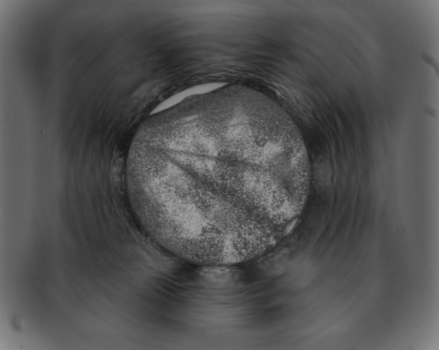 X0000092040181200710101004