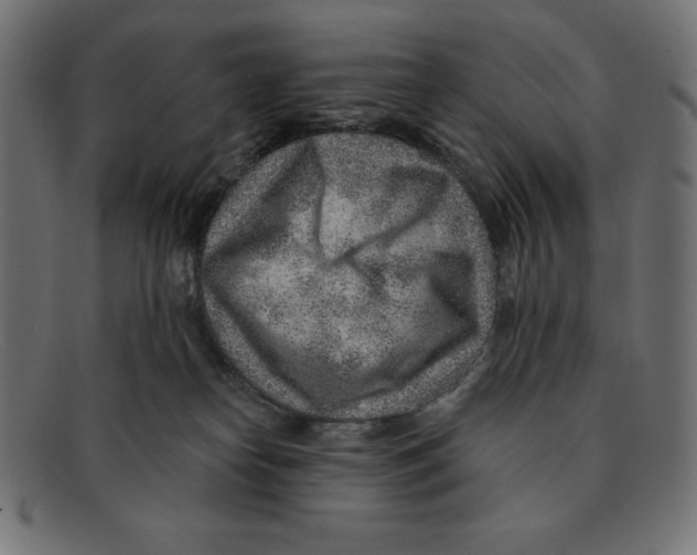 X0000092040182200710101004