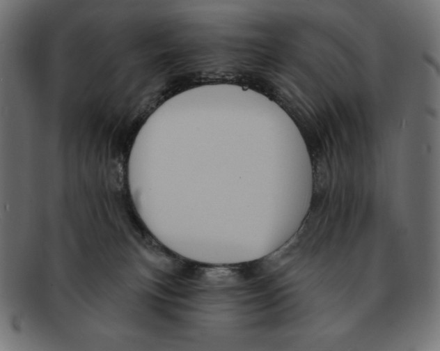 X0000092040183200710101004