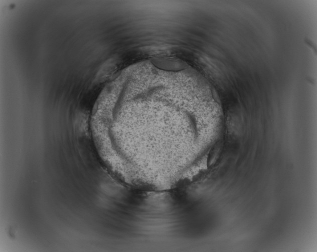 X0000092040185200710101004