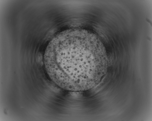 X0000092040187200710101004