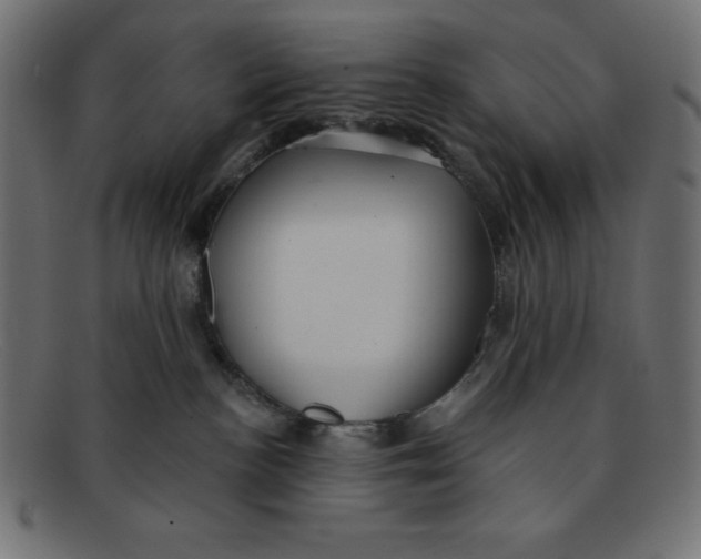 X0000092040188200710101004