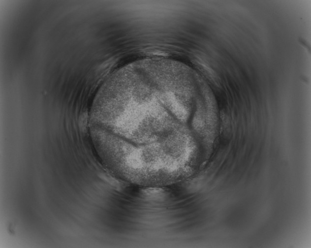 X0000092040189200710101004