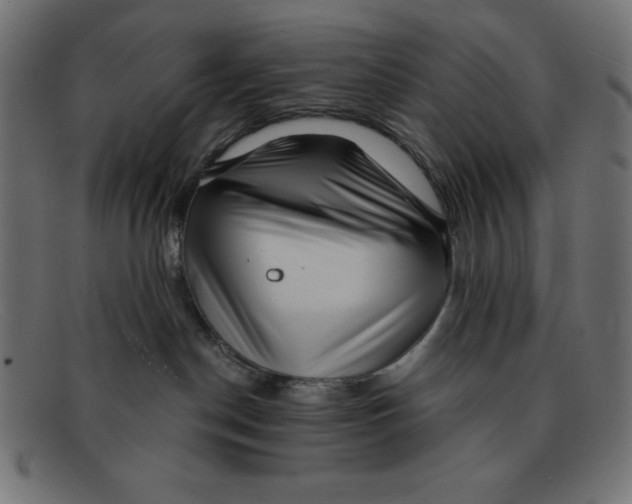 X0000092040190200710101004