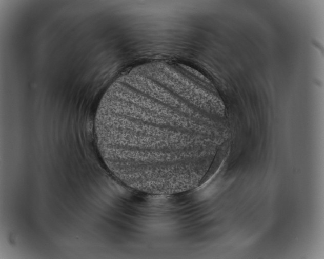 X0000092040192200710101004