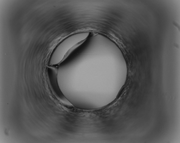 X0000092040193200710101003