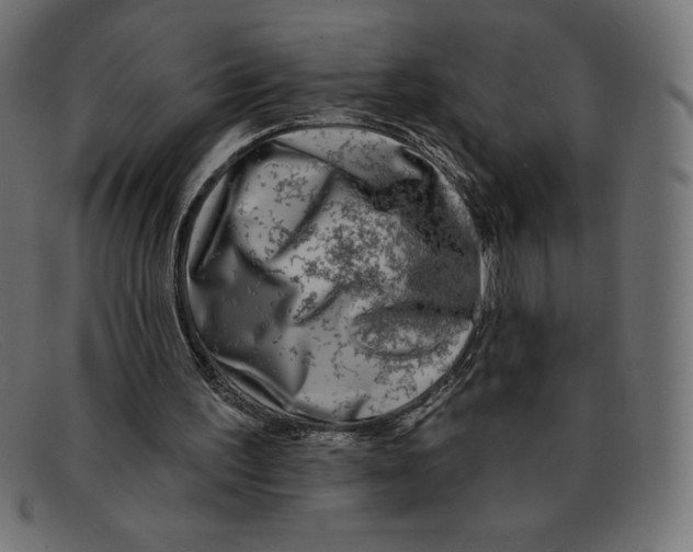 X0000092040195200710101003