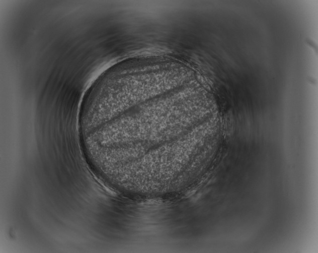 X0000092040196200710101003