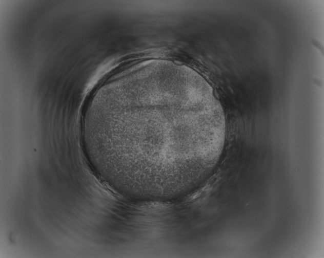 X0000092040198200710101003