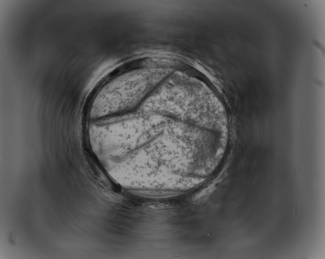 X0000092040199200710101003