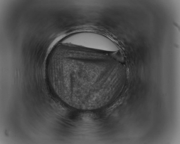 X0000092040200200710101003