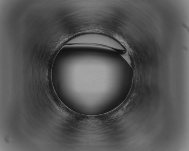 X0000092040201200710101003