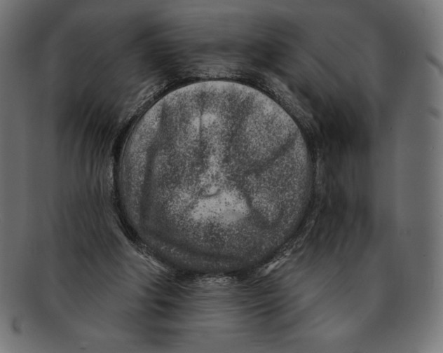 X0000092040202200710101003