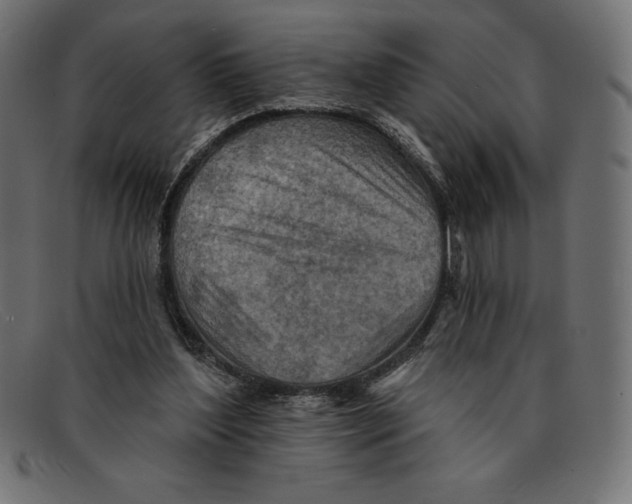 X0000092040204200710101003