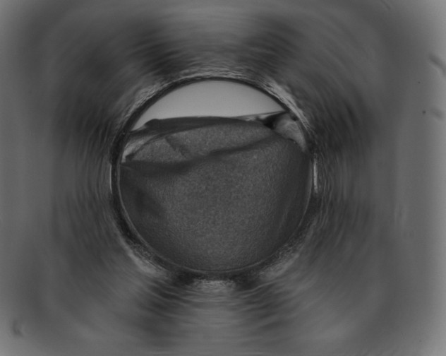 X0000092040205200710101003