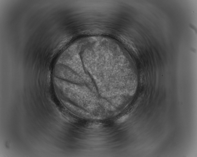 X0000092040206200710101003