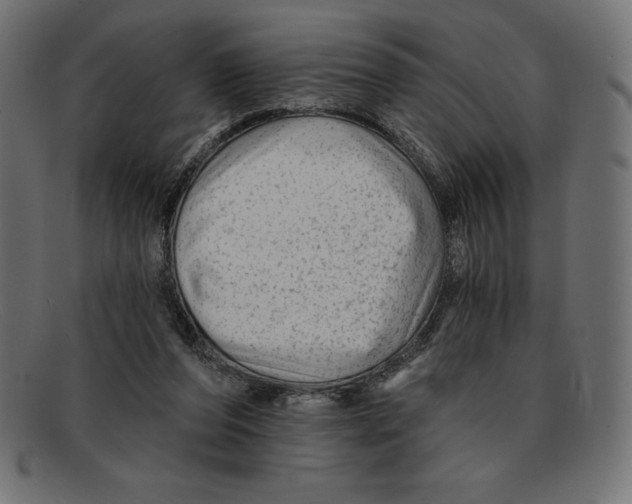 X0000092040208200710101003