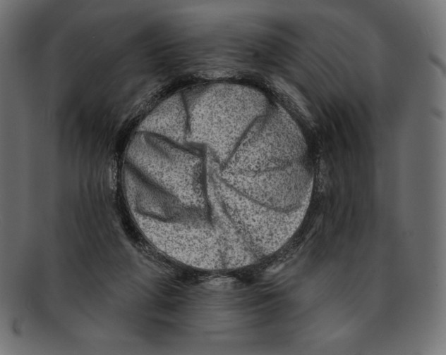 X0000092040210200710101003