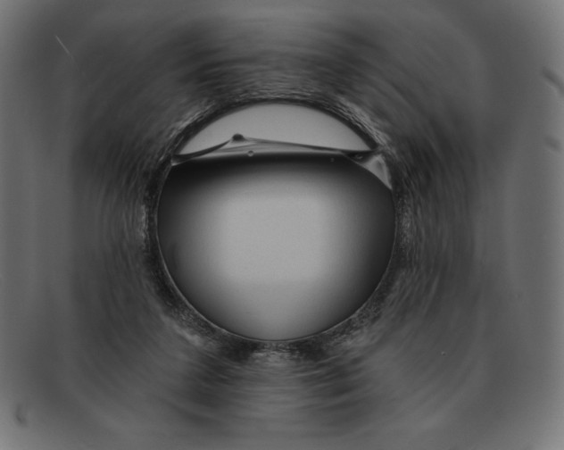 X0000092040211200710101003