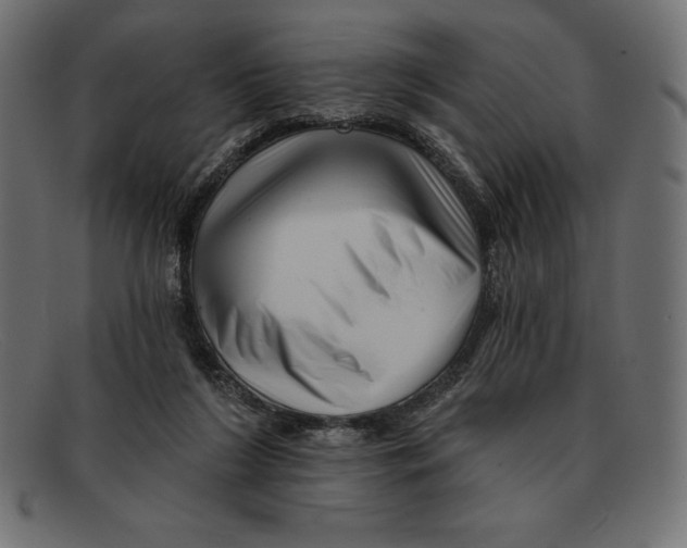 X0000092040212200710101003