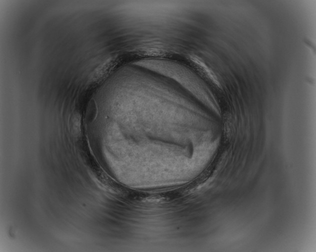 X0000092040213200710101003