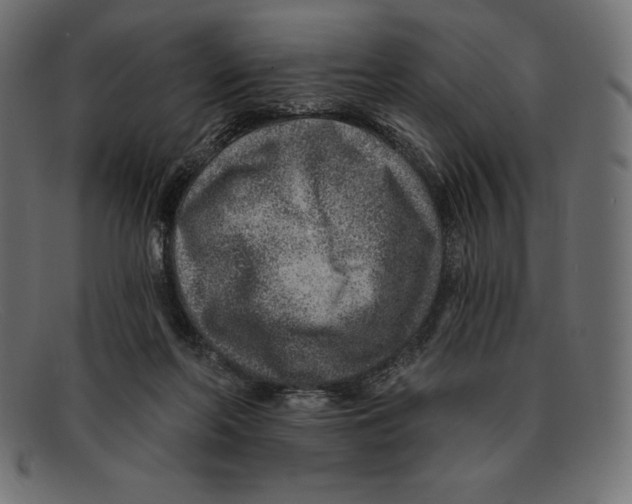 X0000092040214200710101003