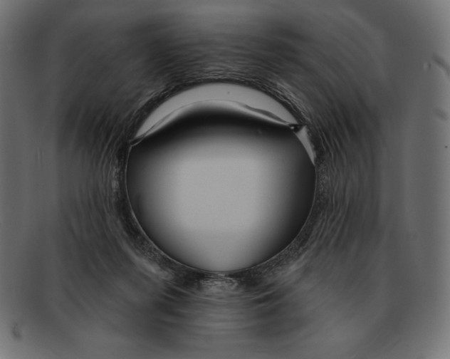 X0000092040215200710101003