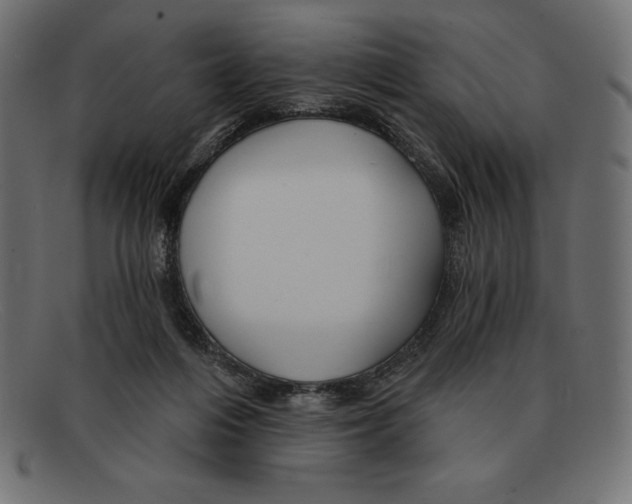 X0000092040216200710101003