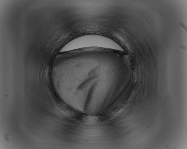 X0000092040217200710101003