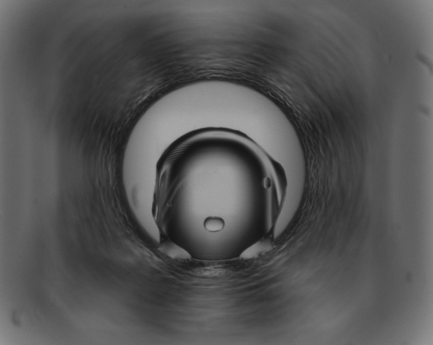 X0000092040219200710101003