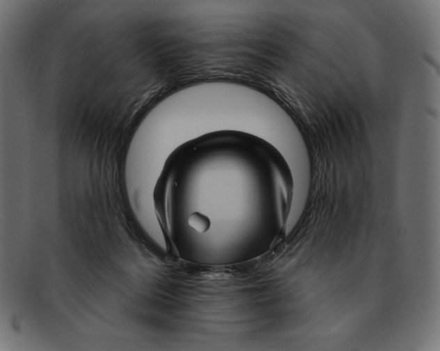 X0000092040220200710101003