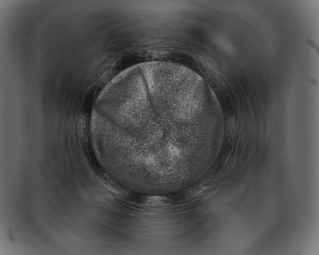 X0000092040222200710101003