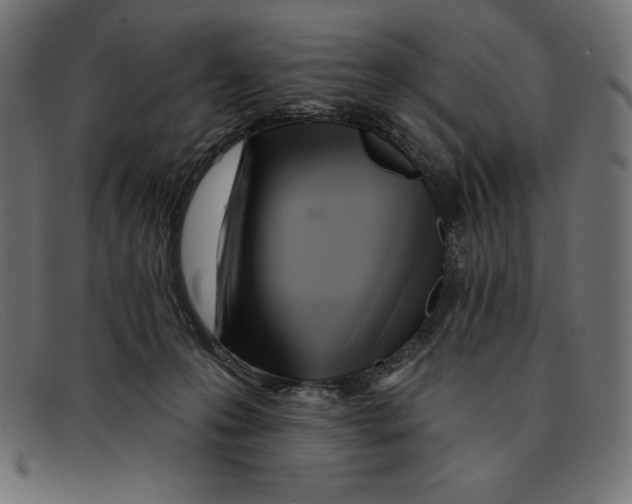 X0000092040223200710101003