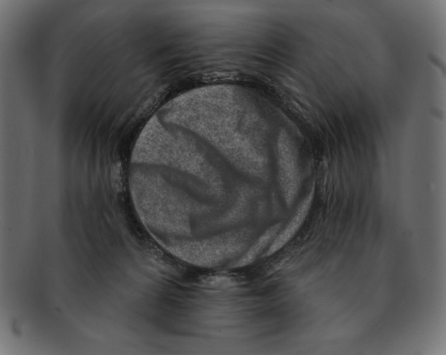 X0000092040224200710101003