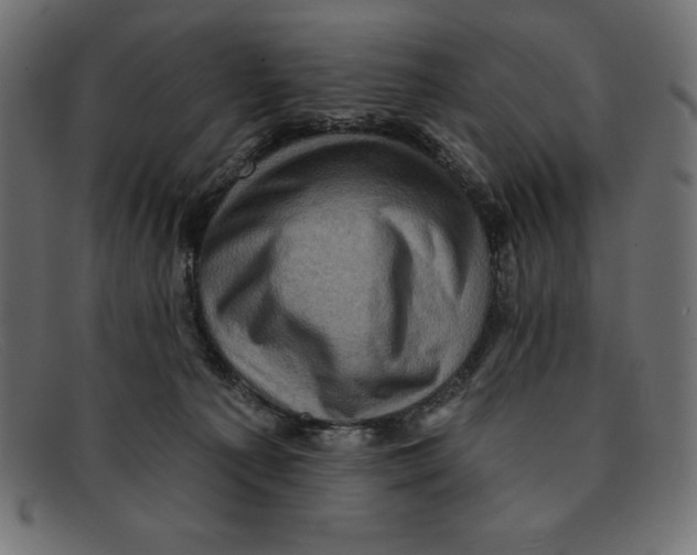 X0000092040225200710101003