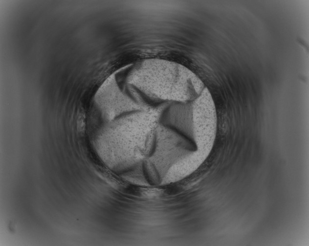 X0000092040226200710101003