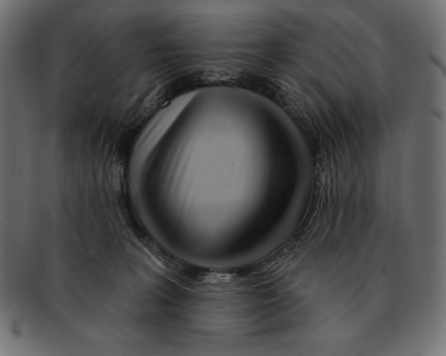 X0000092040227200710101003