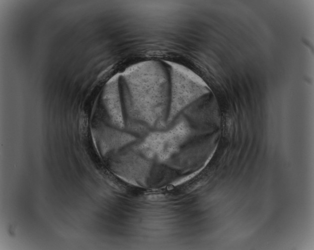 X0000092040228200710101003