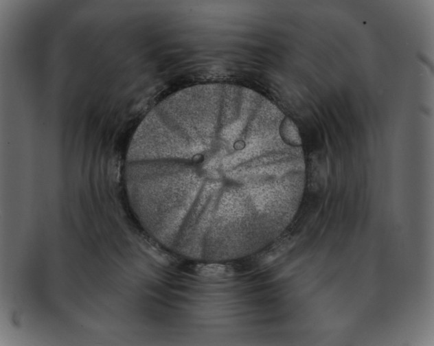 X0000092040230200710101003