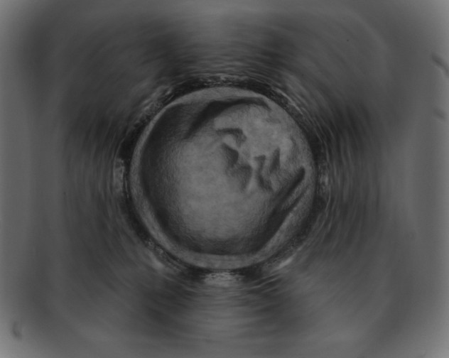 X0000092040231200710101003