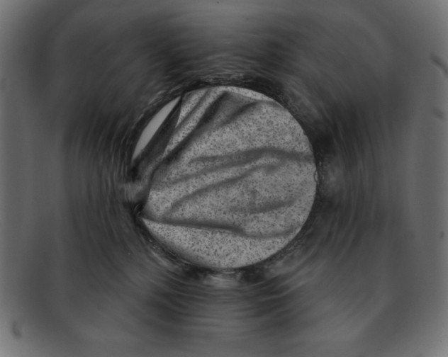 X0000092040232200710101003