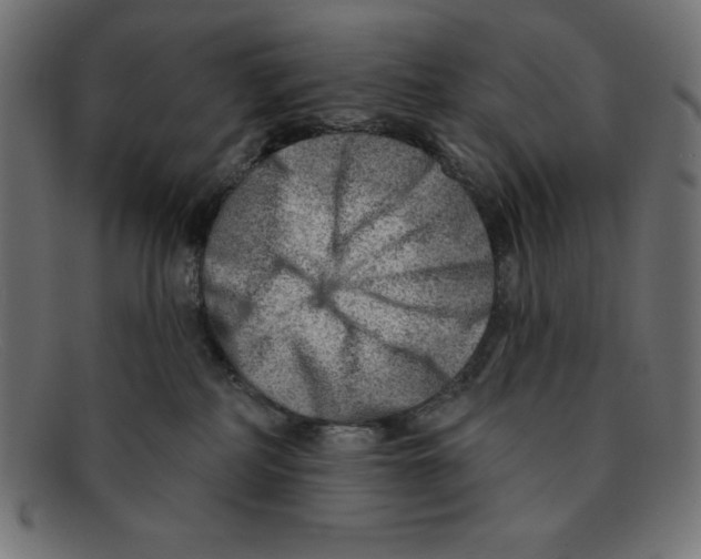 X0000092040234200710101003