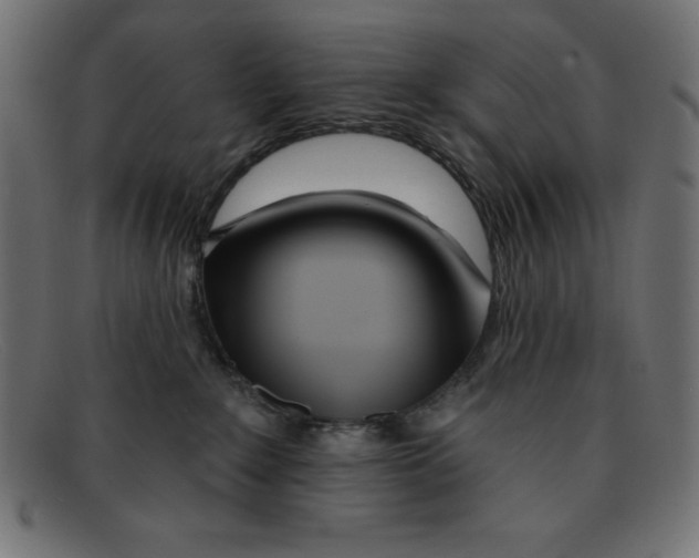 X0000092040235200710101003