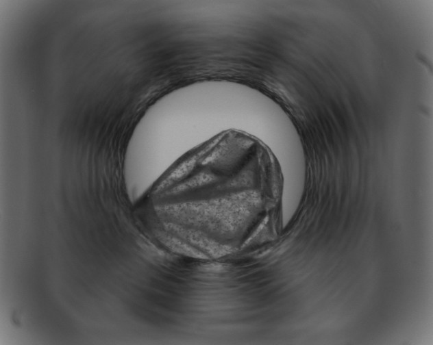 X0000092040237200710101003