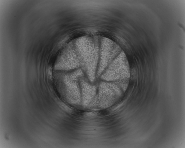 X0000092040238200710101003