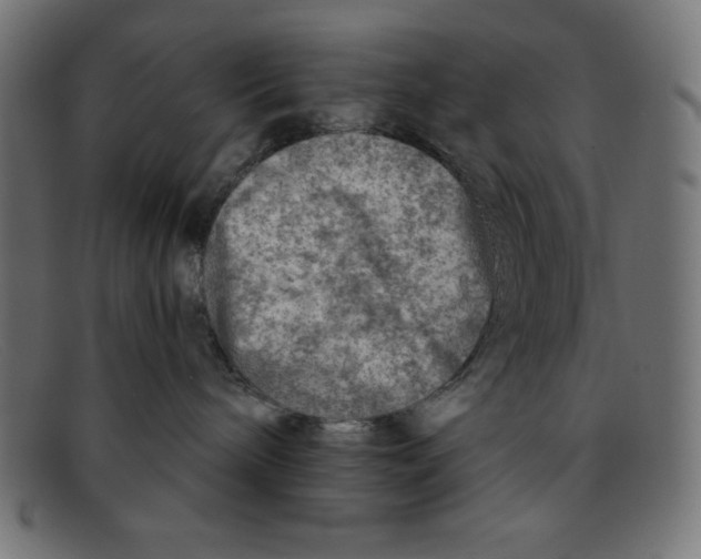 X0000092040240200710101003