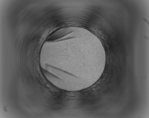 X0000092040241200710101002