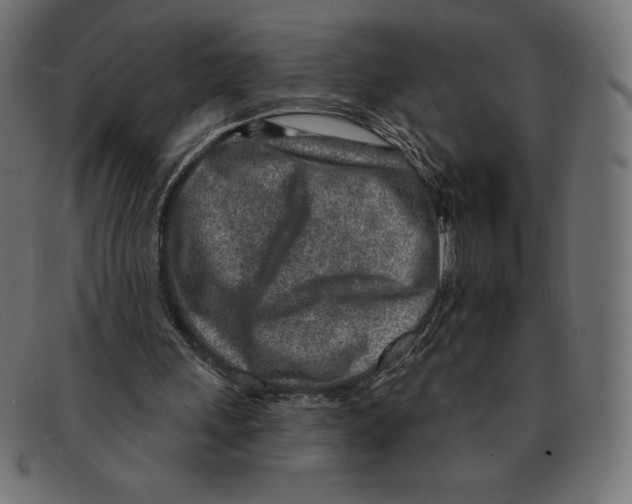 X0000092040243200710101002